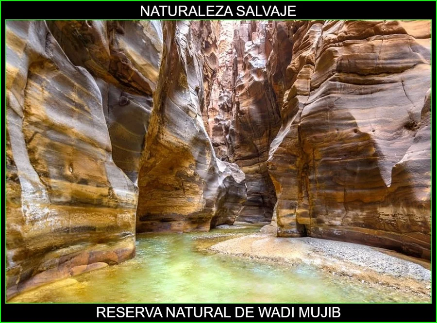 Wadi Mujib, reserva Natural de Wadi Mujib, lugares más bellos de Asia y del mundo, naturaleza salvaje 3