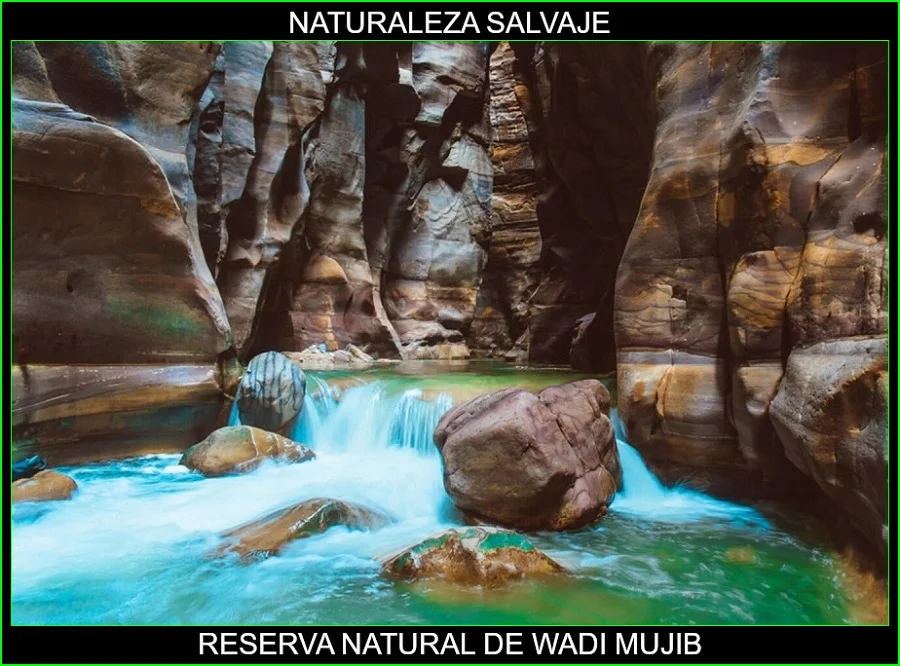 Wadi Mujib, reserva Natural de Wadi Mujib, lugares más bellos de Asia y del mundo, naturaleza salvaje 4