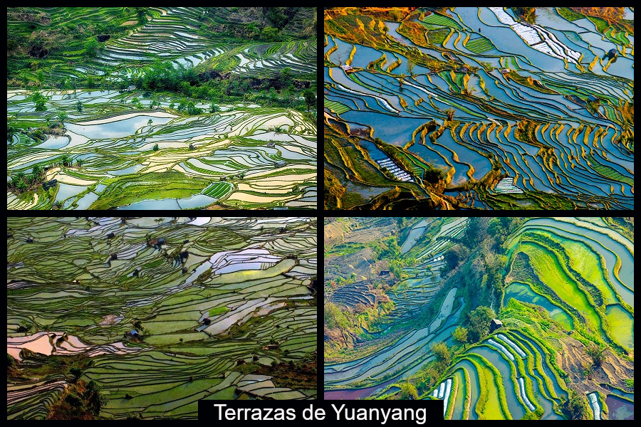 Terrazas de Yuanyang, lugares más bellos del mundo, lugares insólitos del mundo 3