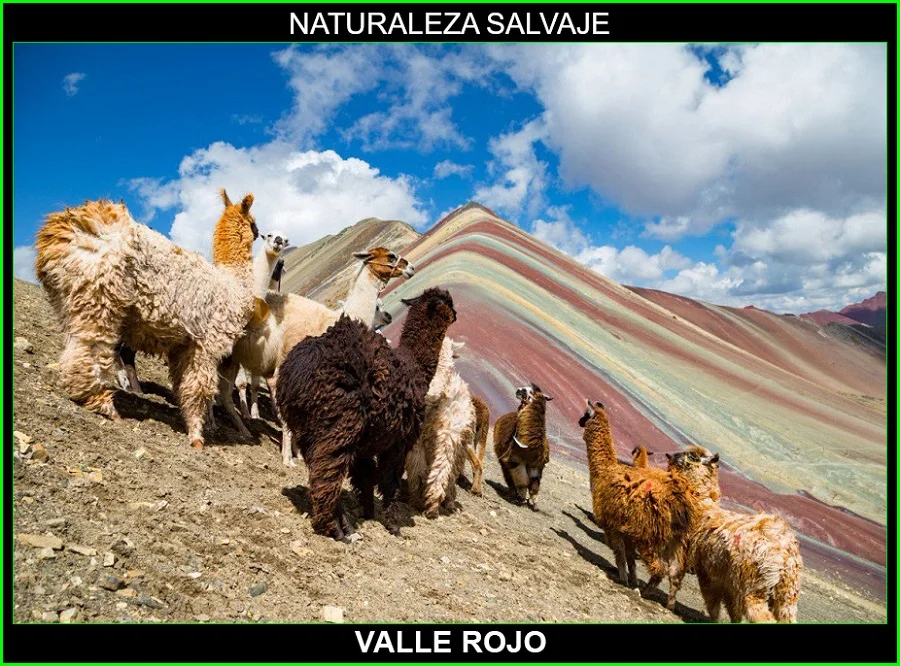 Valle rojo, montaña de los siete colores, salineras de Maras, Montaña Arcoíris, Cerro Colorado 7