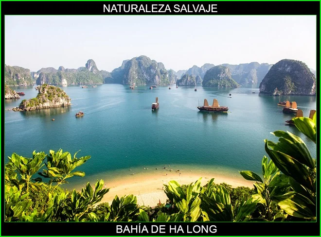 Bahía de Ha Long