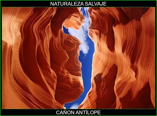 Cañón antílope