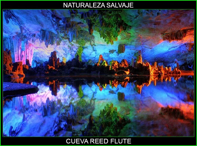 Cueva de la reed flute