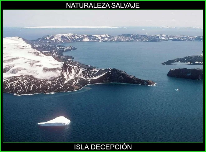Isla Decepción