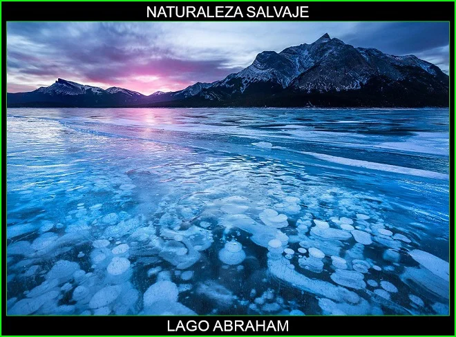 Lago de Abraham