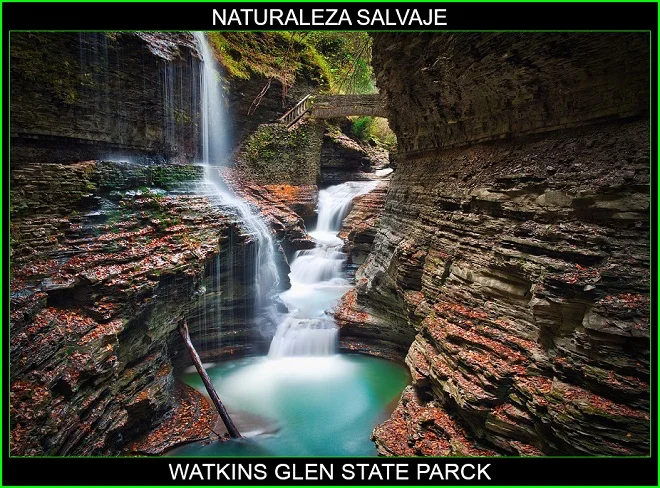 Watkins Glen State Park